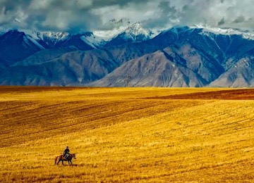 You confirm and save